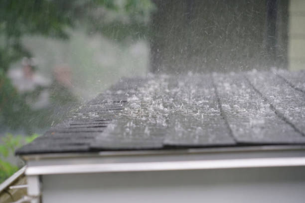 Best Green or Eco-Friendly Roofing Solutions  in Elkhorn, CA